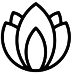 Pitta Dosha